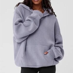 Alo Yoga Scholar Hoodie in Fog